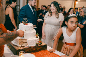 Wedding cake cutting